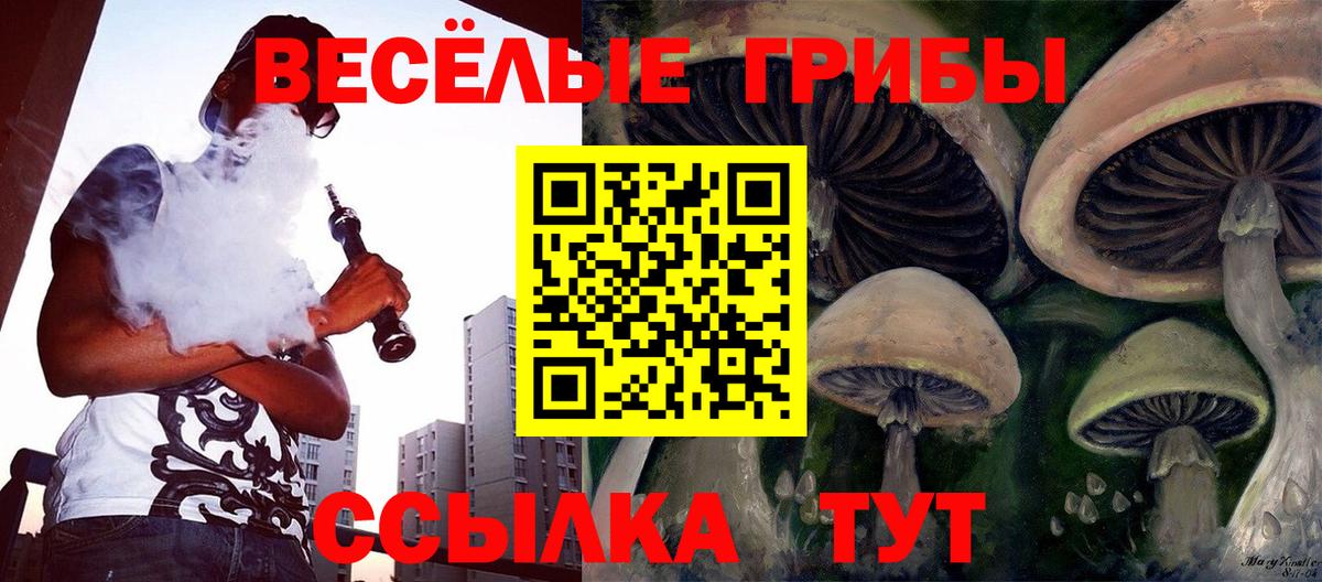 Городец  Галлюциногенные грибы Psilocybe  Вход с VPN 