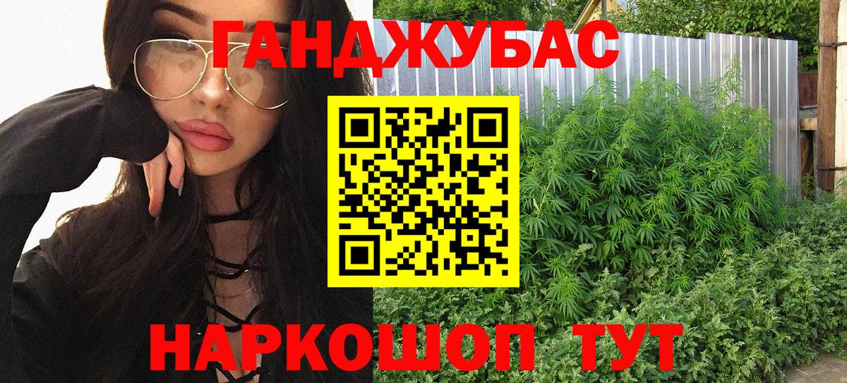 Городец  Бошки Шишки ГИДРОПОН  Вход с VPN  Бошки Шишки White Widow  Канабис планчик 